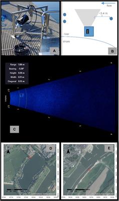Underwater Macroplastic Detection Using Imaging Sonars